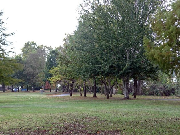 Banita Creek Park景点图片