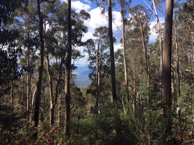 Mount Torbreck-Eildon必去景点