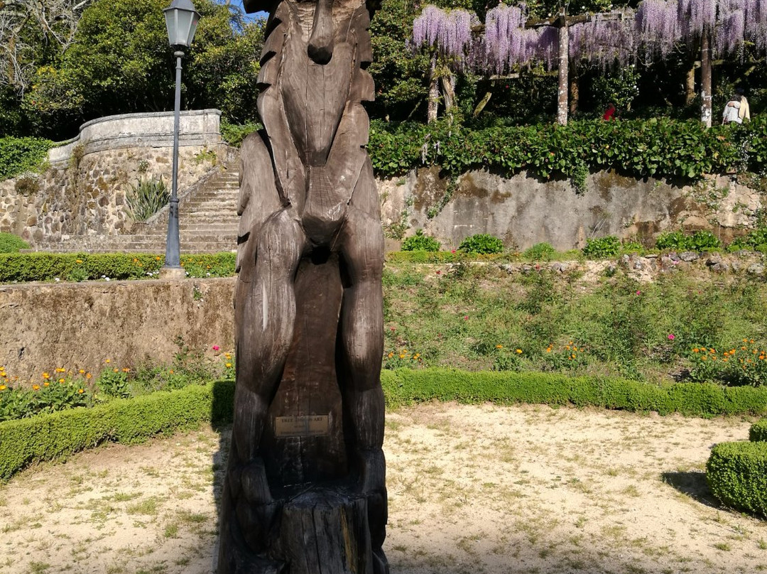 Outer Tours-阿威罗必去景点