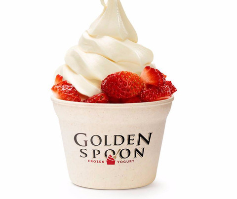 Golden Spoon Frozen Yogurt