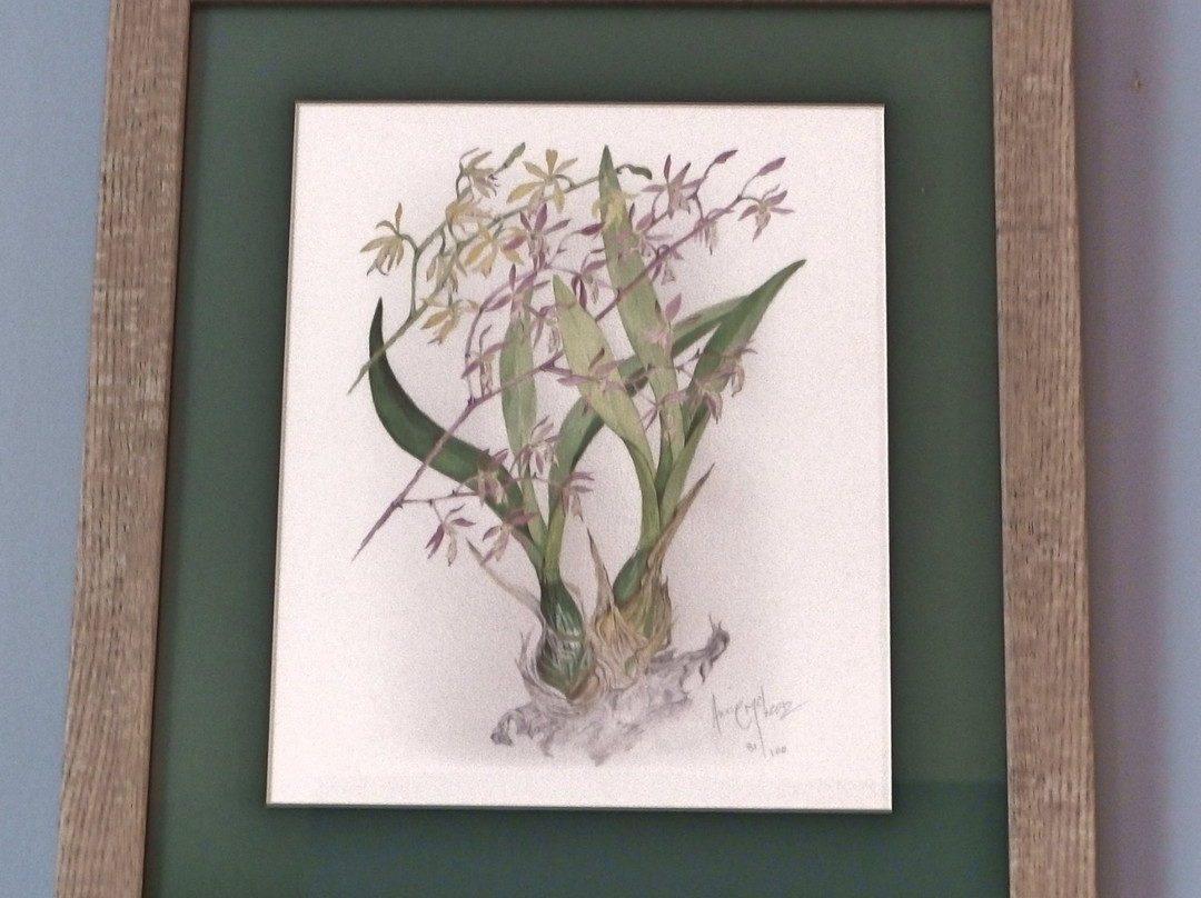 Art Provo-普罗维登西亚莱斯必去景点