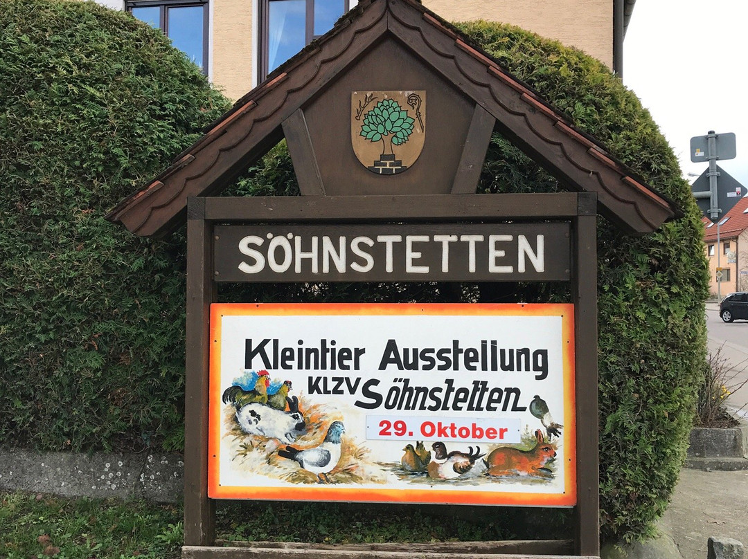 Steinheim am Albuch旅游攻略图片