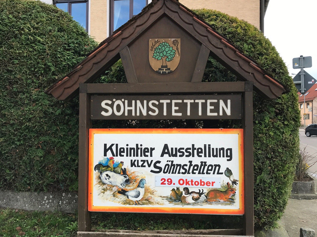 Steinenkirch旅游攻略图片