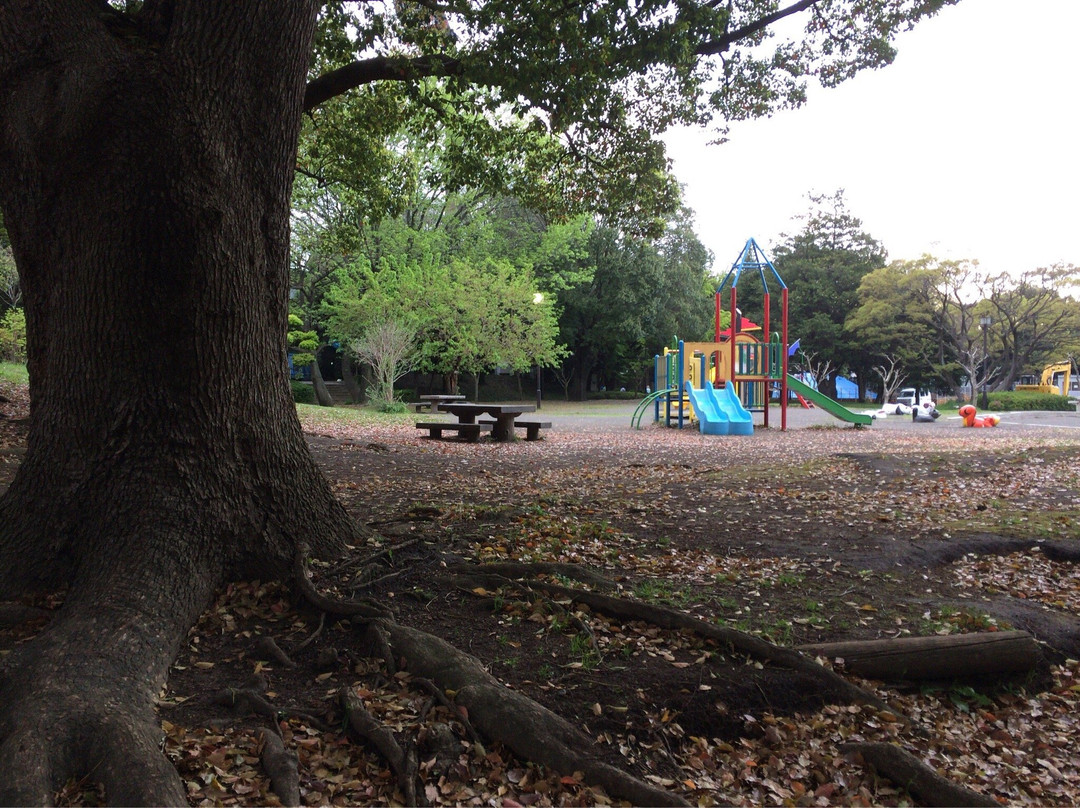 Hiratsuka City Park-平冢市必去景点