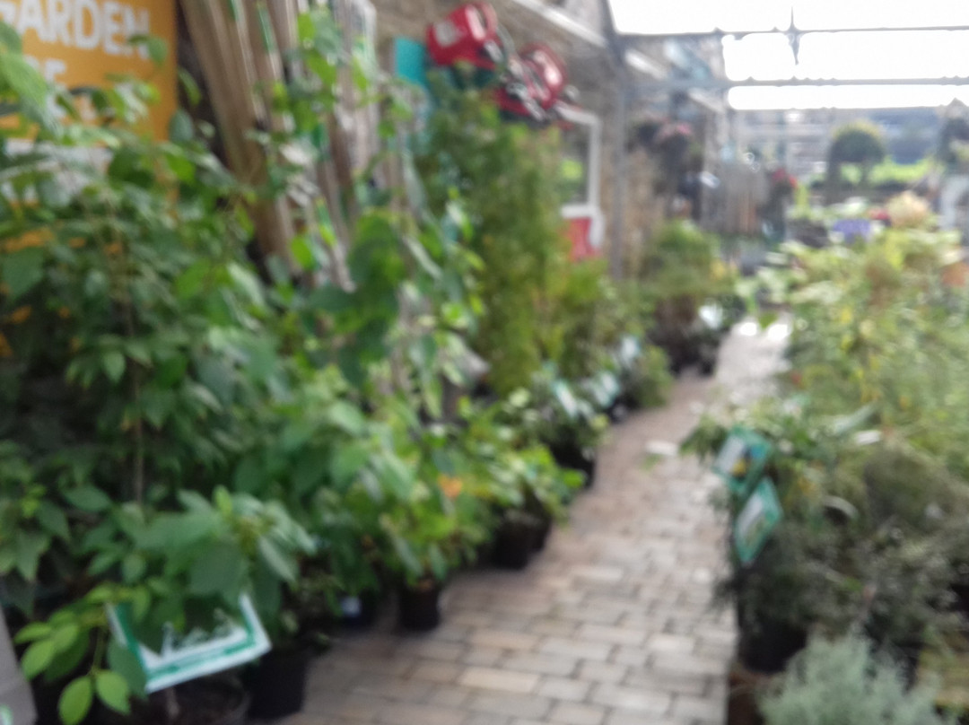 Oswaldtwistle旅游攻略图片