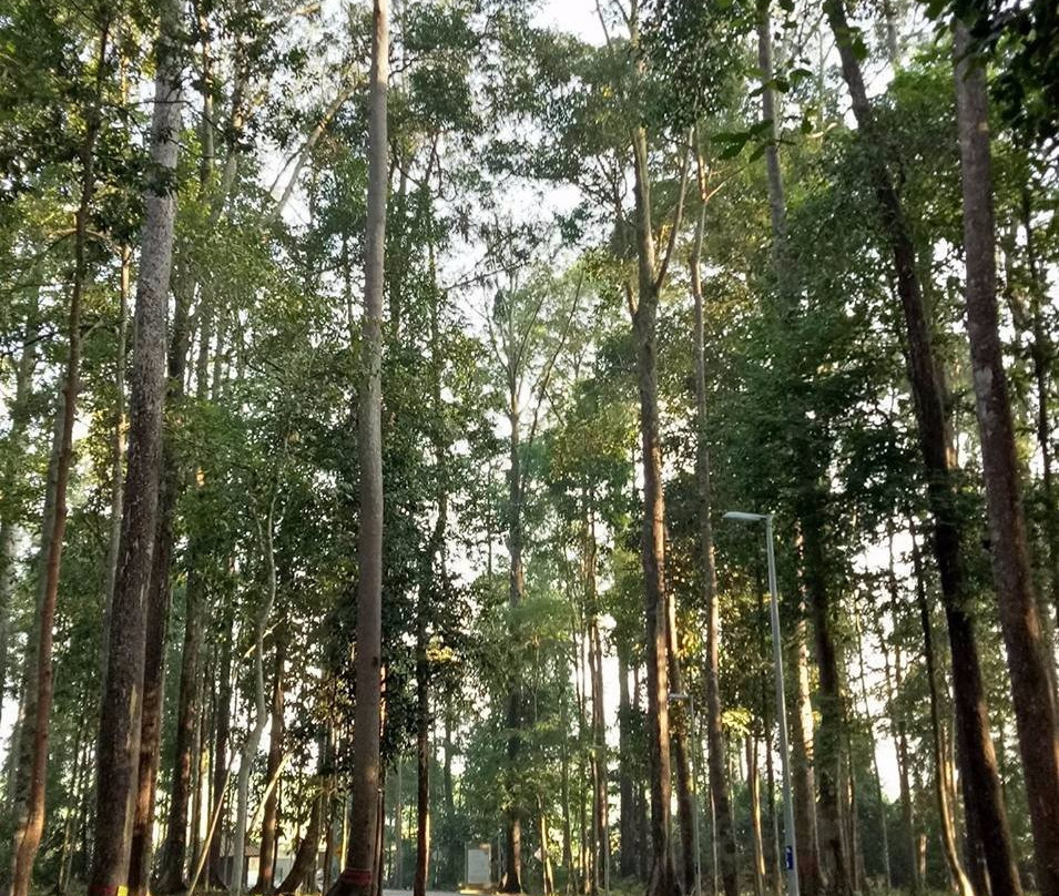 Sungai Menyala Edu-Ecotourism Center-波德申必去景点