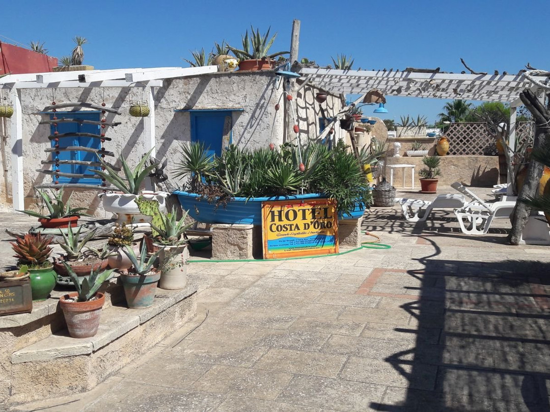Marina di Lizzano酒店住宿-Hotel Costa D'Oro