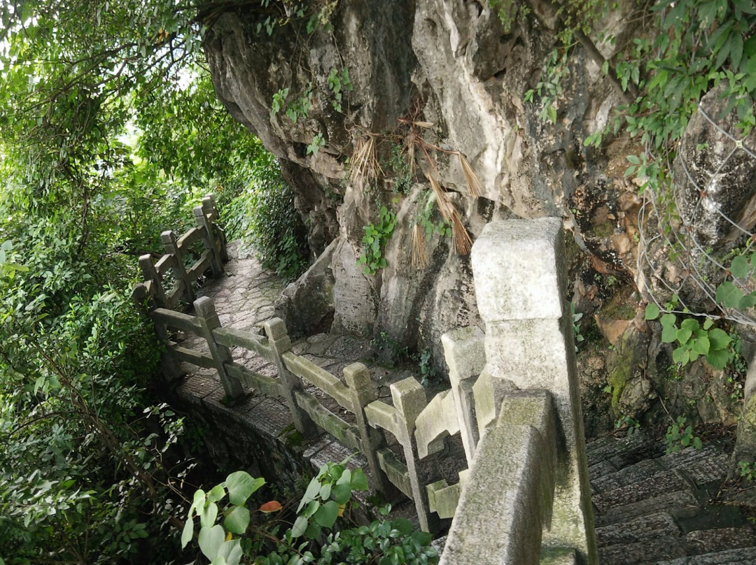 鱼峰公园-柳州市必去景点