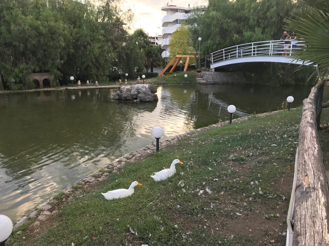 Oasi Bar景点图片