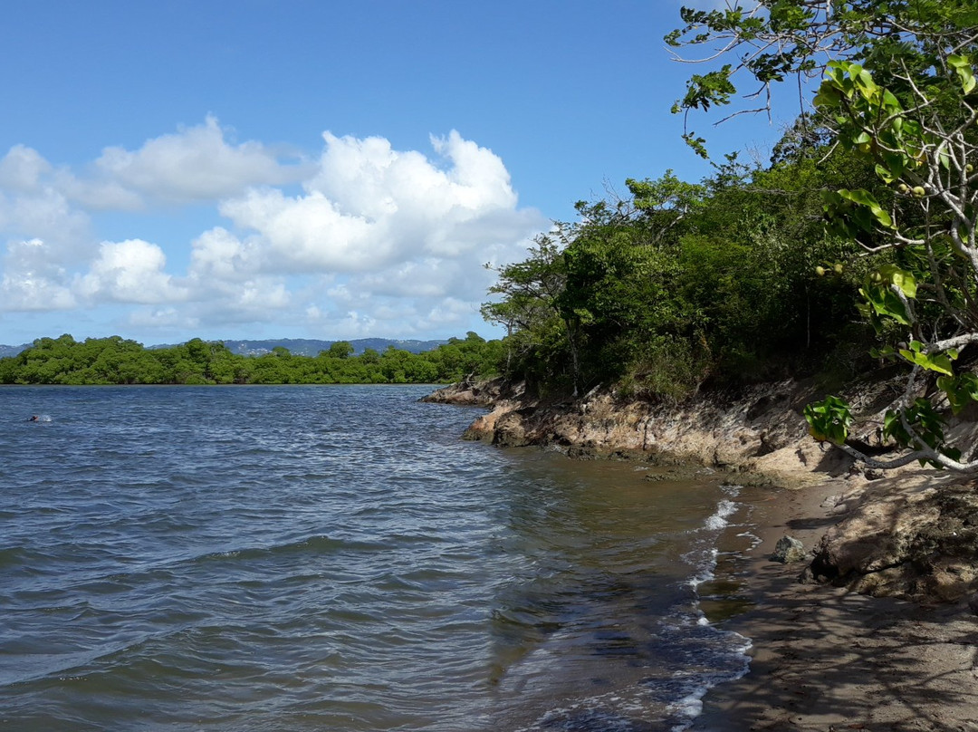 Pointe de la Vatable-Trois-Ilets必去景点