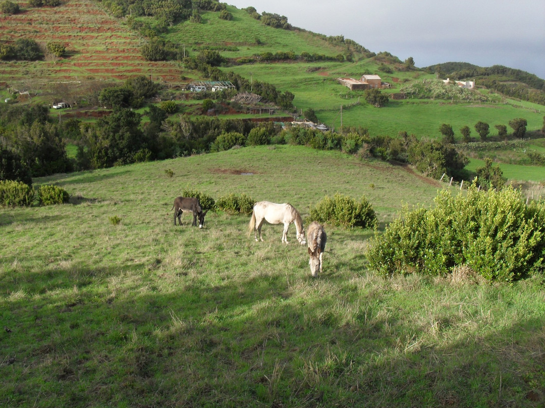 Eselwandern auf La Palma-Garafia必去景点