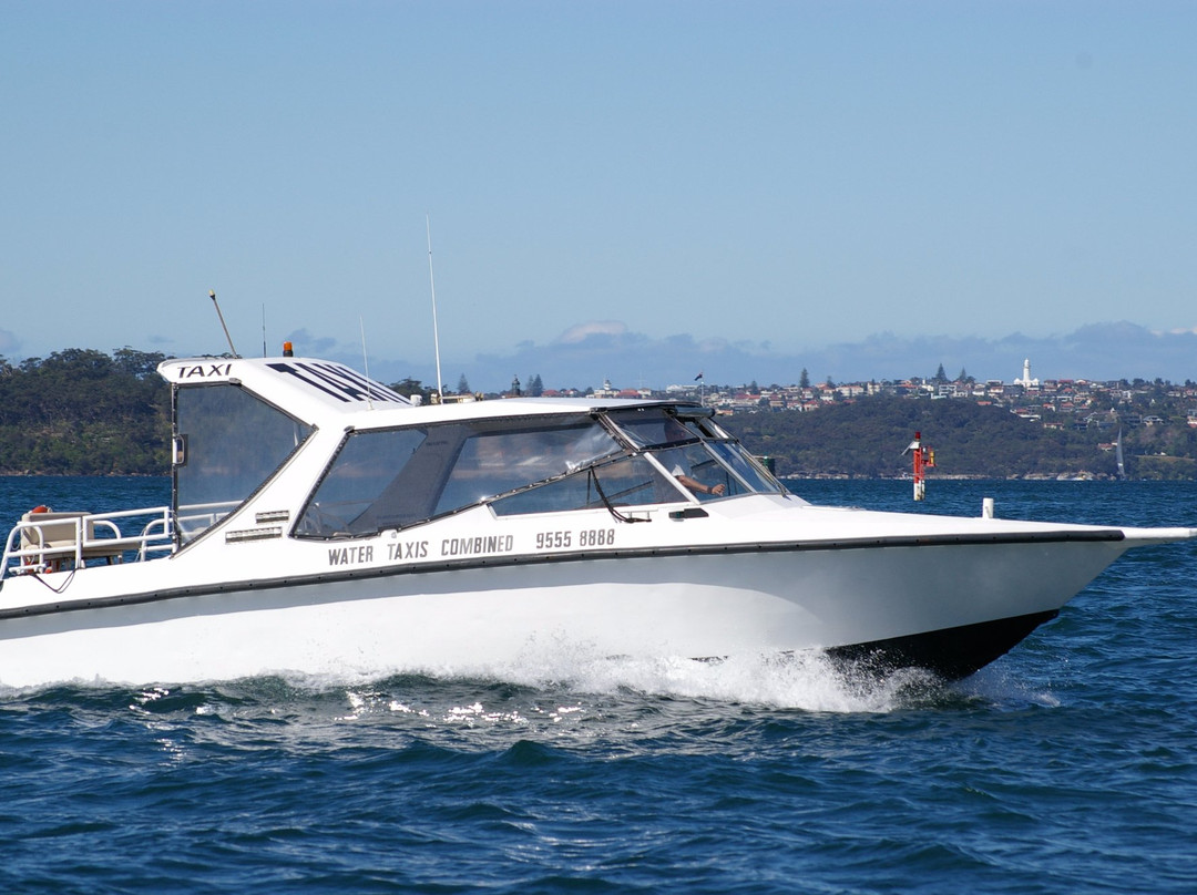 Water Taxis Combined-悉尼必去景点