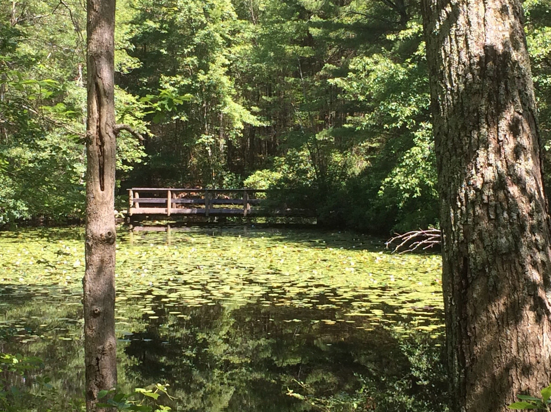 Hopeville Pond State Park-Griswold必去景点