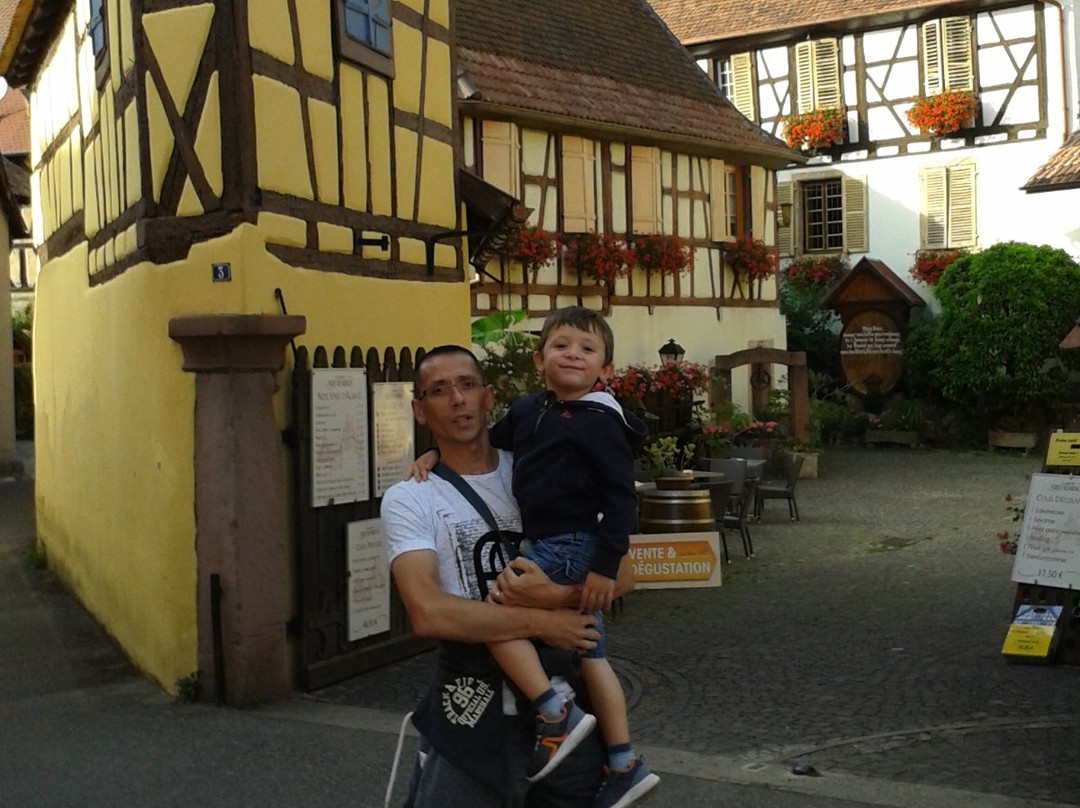 Vins d'Alsace Joseph Freudenreich et fils-艾古斯汉必去景点