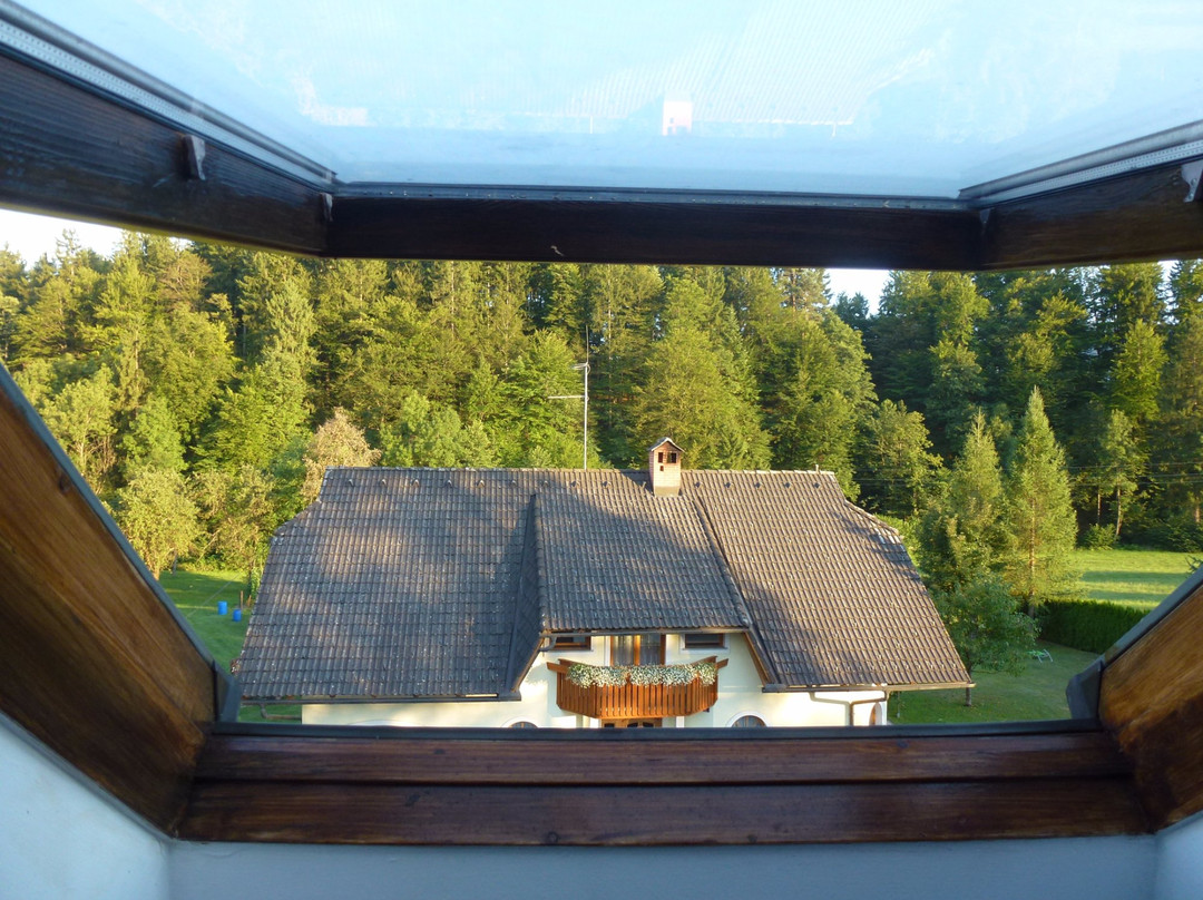 Alpe Adria Hostel