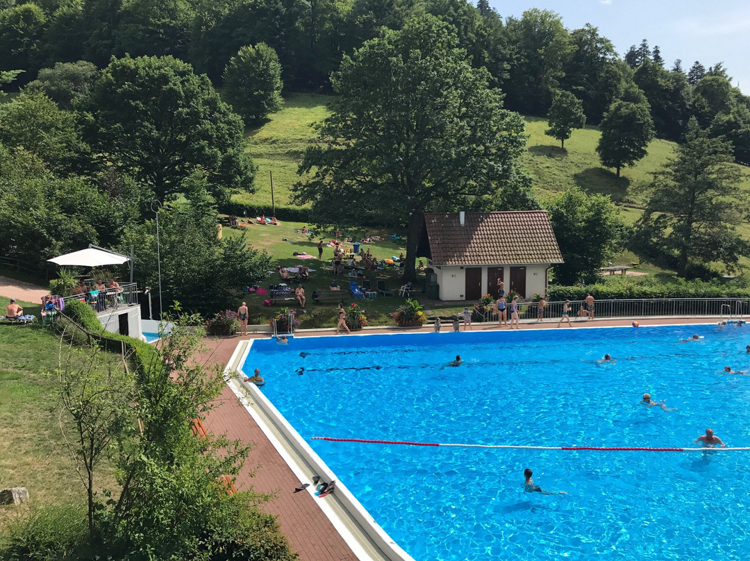 Schwimmbad Reichental景点图片