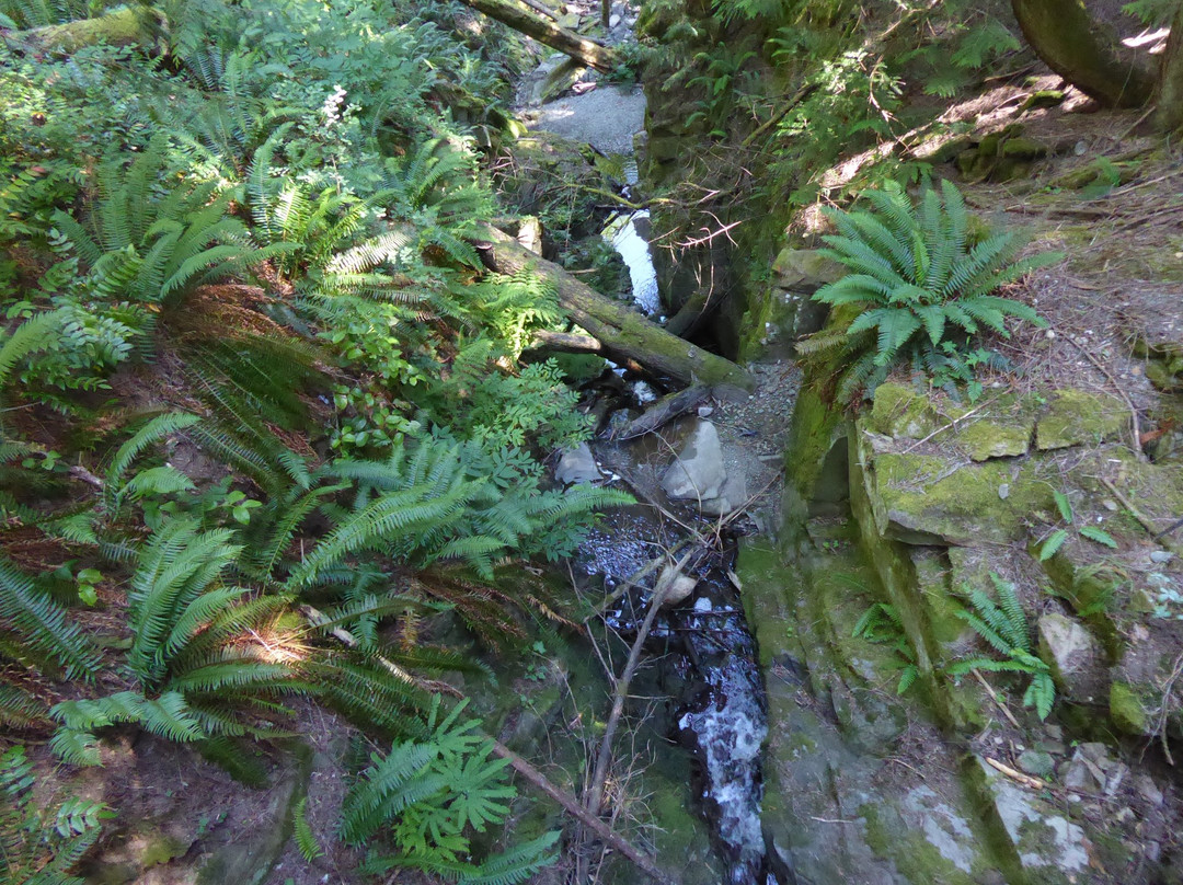 Manley Creek Park景点图片