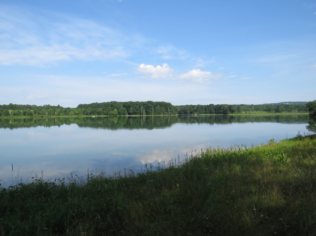Montour Preserve-Danville必去景点