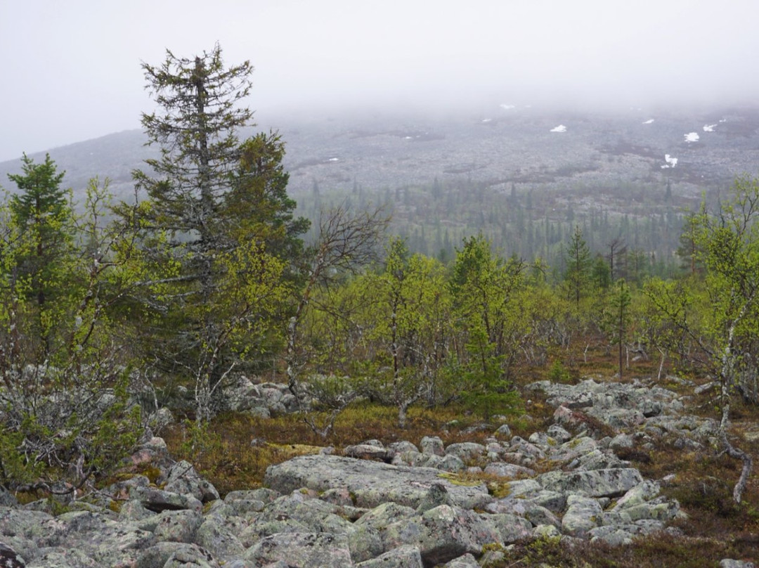 Ruijanpolku Trail-撒利塞卡必去景点