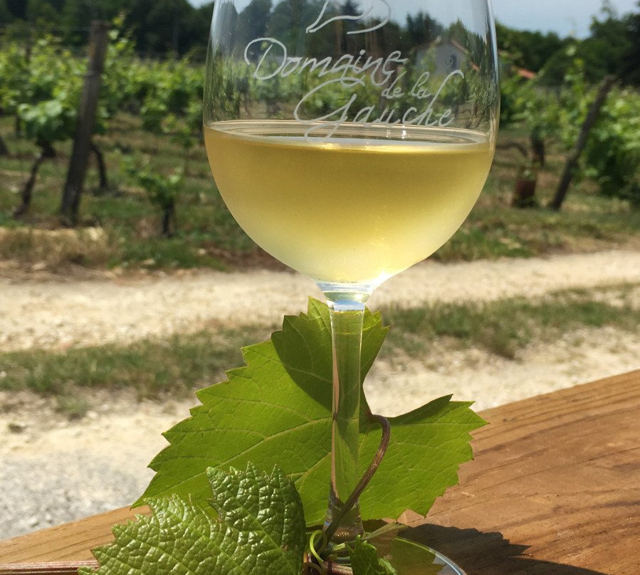 Domaine De La Gauche景点图片