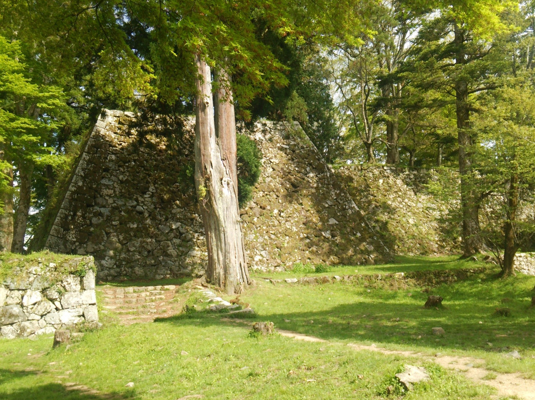 Ruins of Takatori Castle景点图片