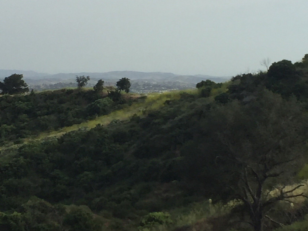 Whiting Ranch Wilderness Park-Trabuco Canyon必去景点