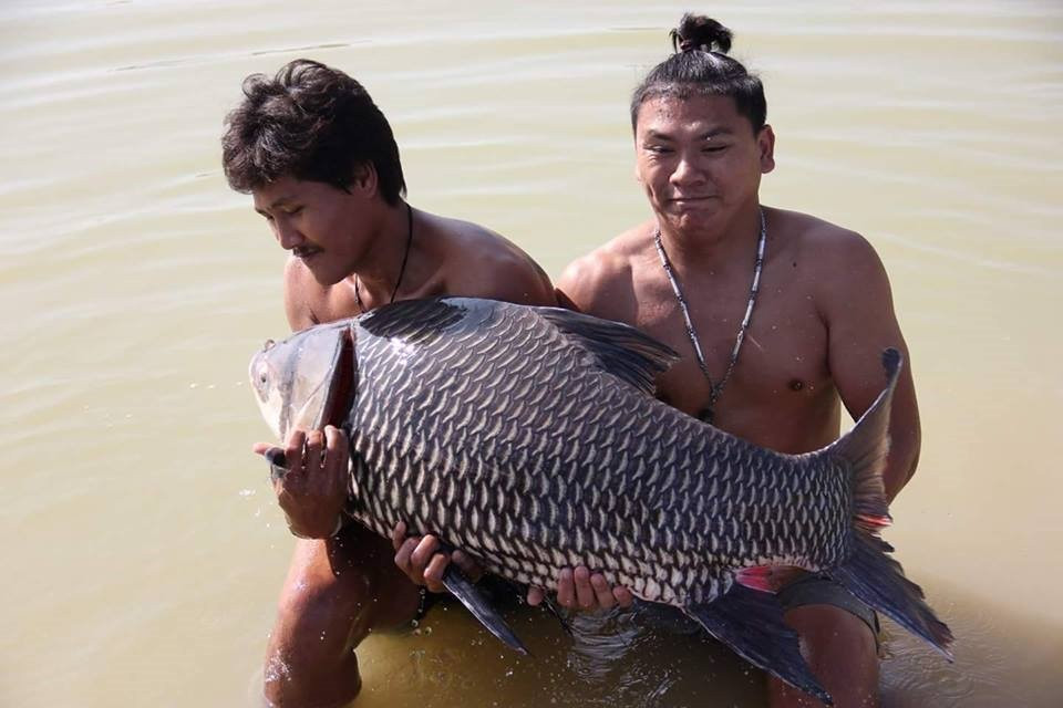 Nong Bua Lam Phu Fishing Park景点图片
