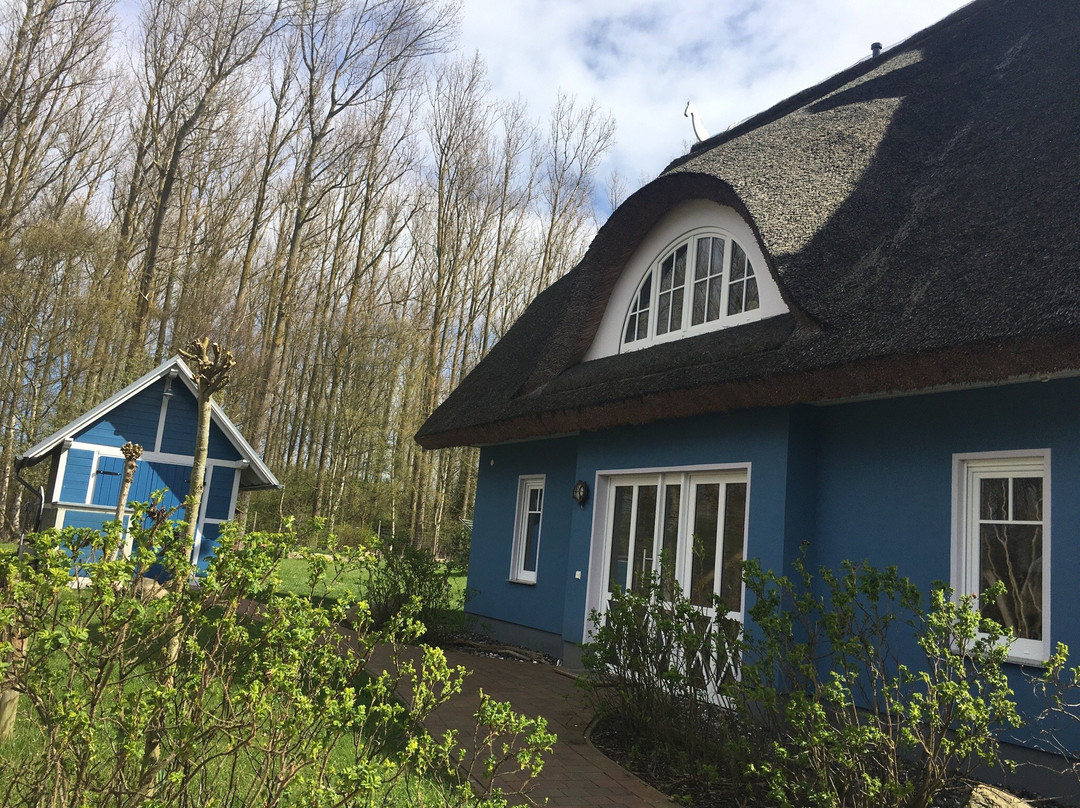 Ferienhaus Godewind Glowe