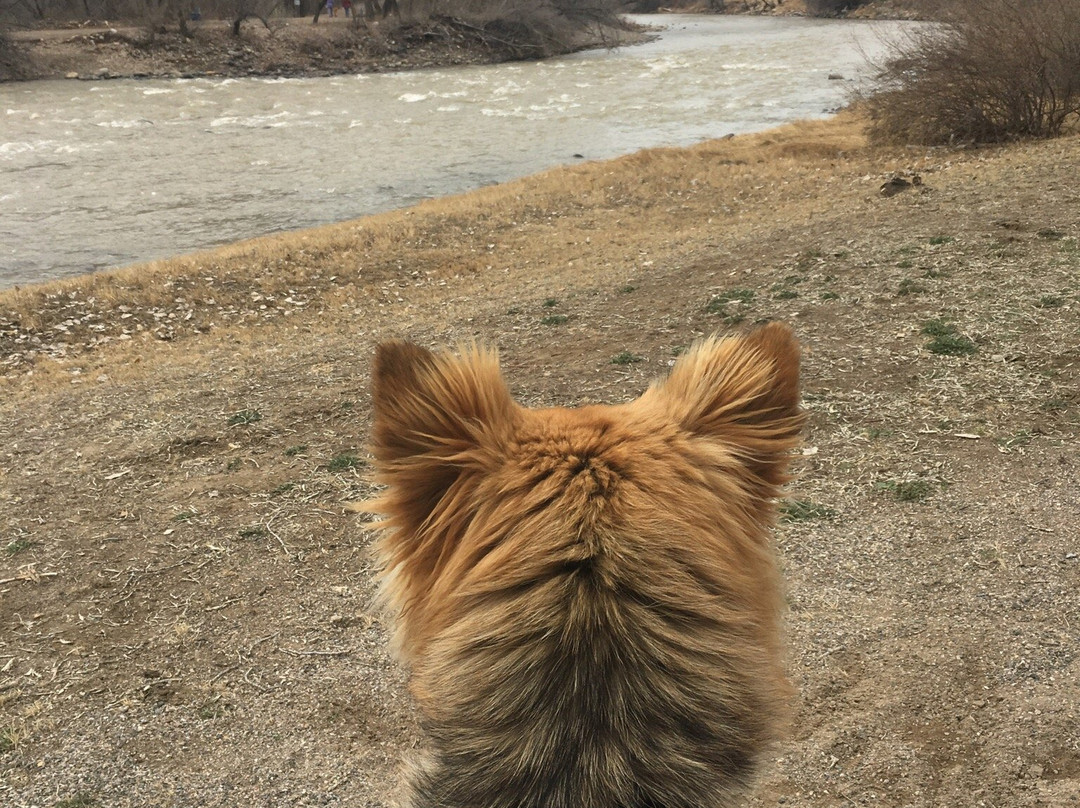 Berg/Animas Trail-法明顿必去景点