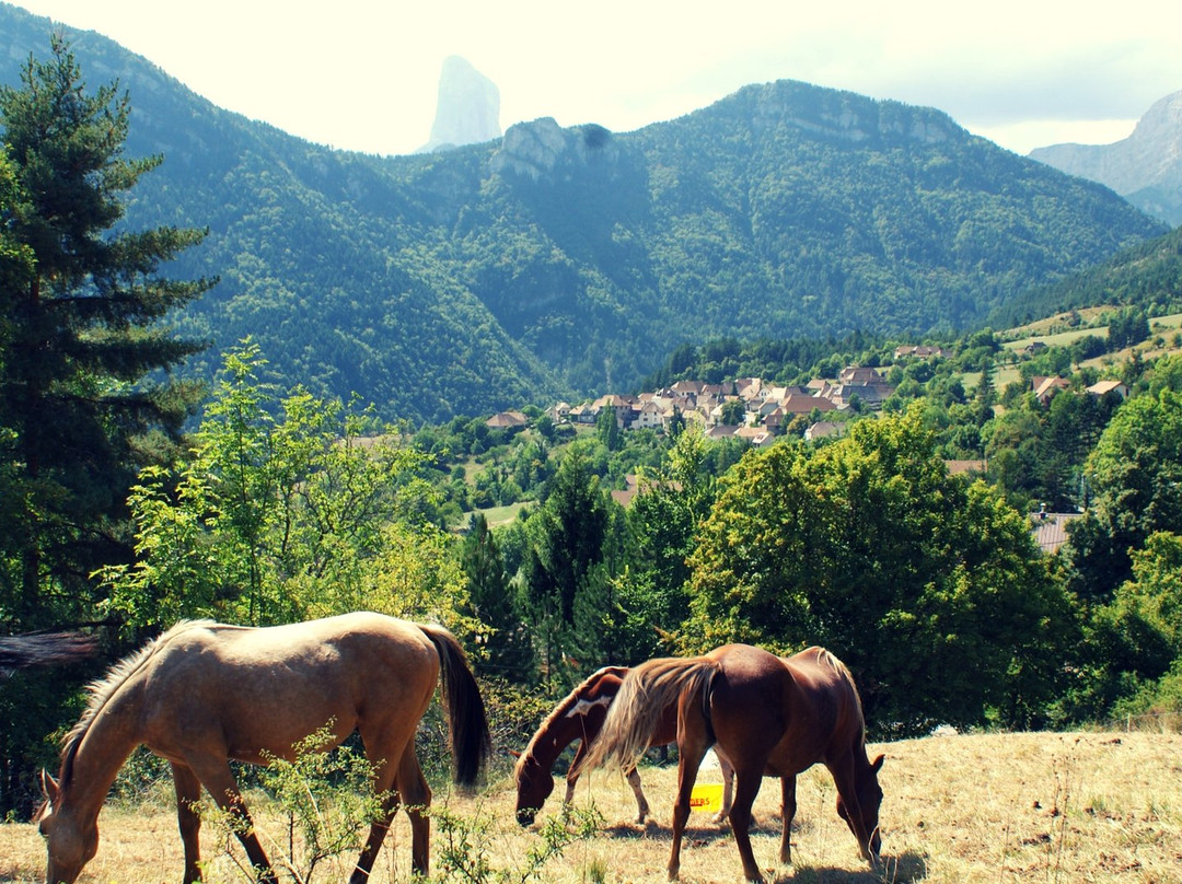 Espace Equestre du Trieves景点图片