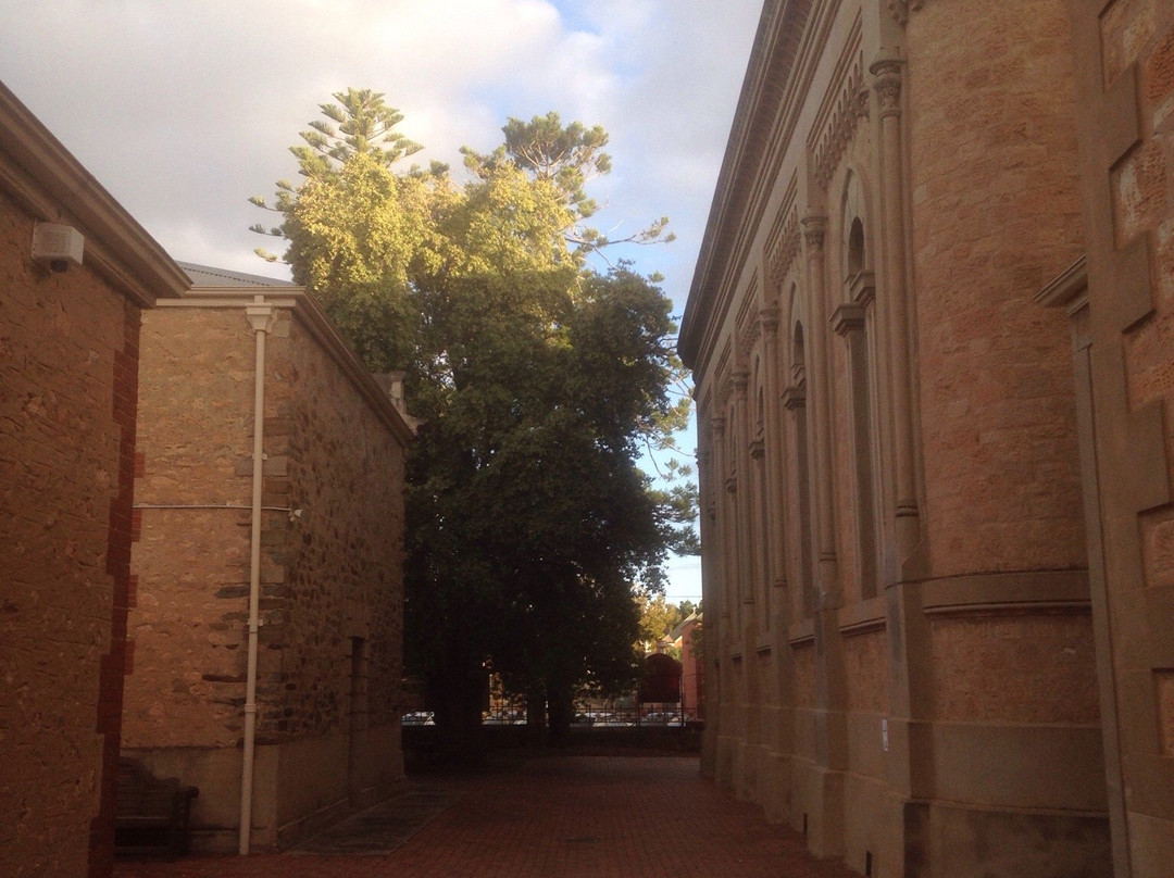 North Adelaide Baptist Church景点图片