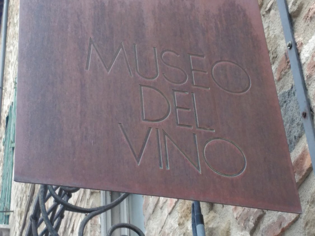 MUVIT Museo del Vino景点图片