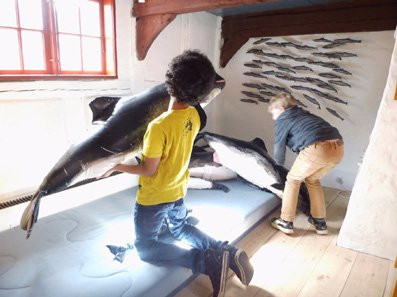 Middelfart Museum-米泽尔法特必去景点
