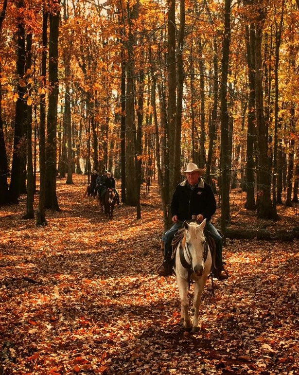 Oakland Heights Farm-Gordonsville必去景点