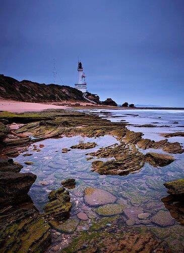 Point Lonsdale旅游景点-Marine and Freshwater Discovery Centre
