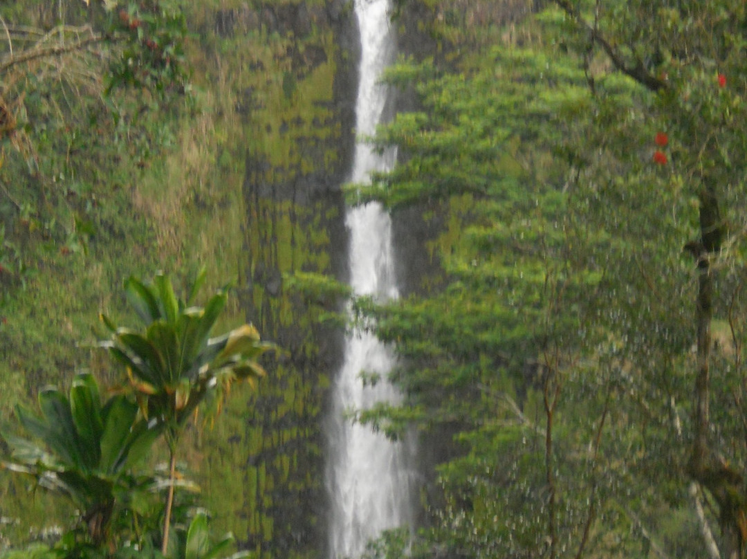 Akaka Pitstop-希洛必去景点