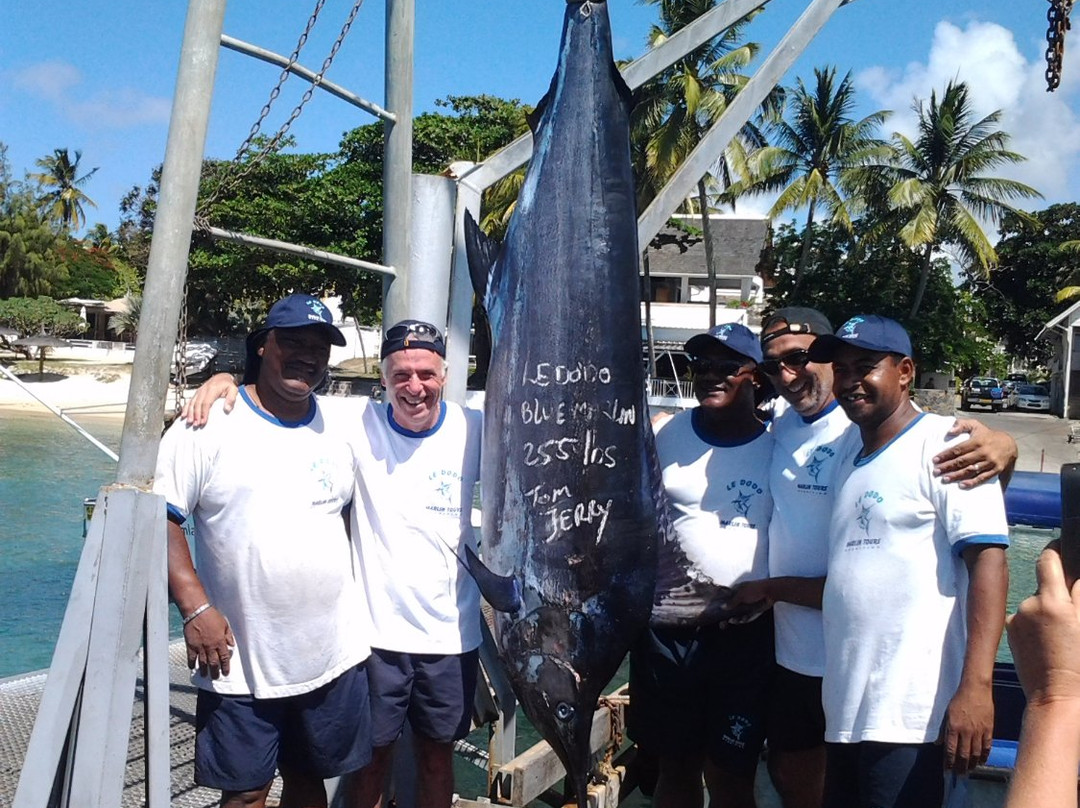 Marlin Tours Mauritius Ltd景点图片