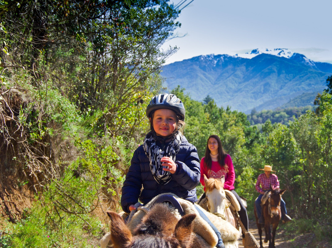 Andes Adventures-San Fernando必去景点