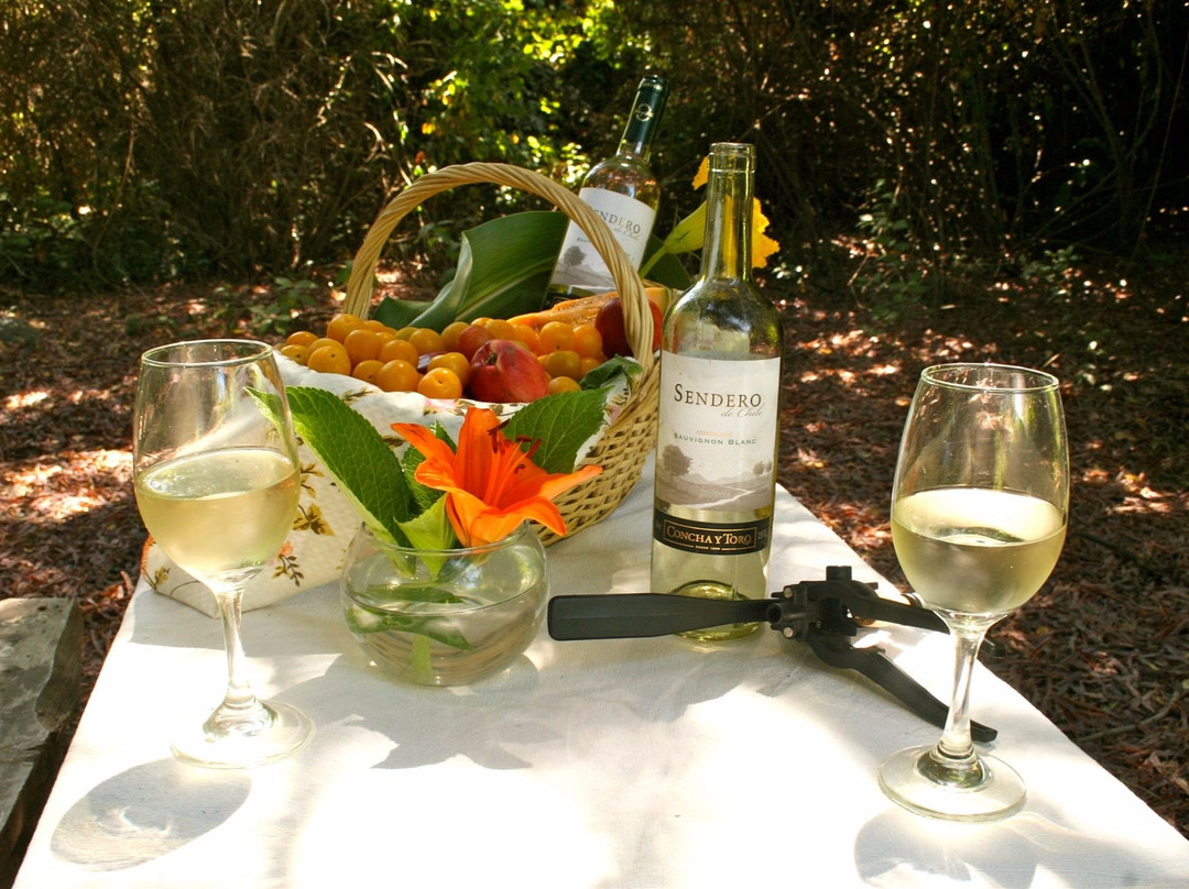 Andes Adventures-San Fernando必去景点