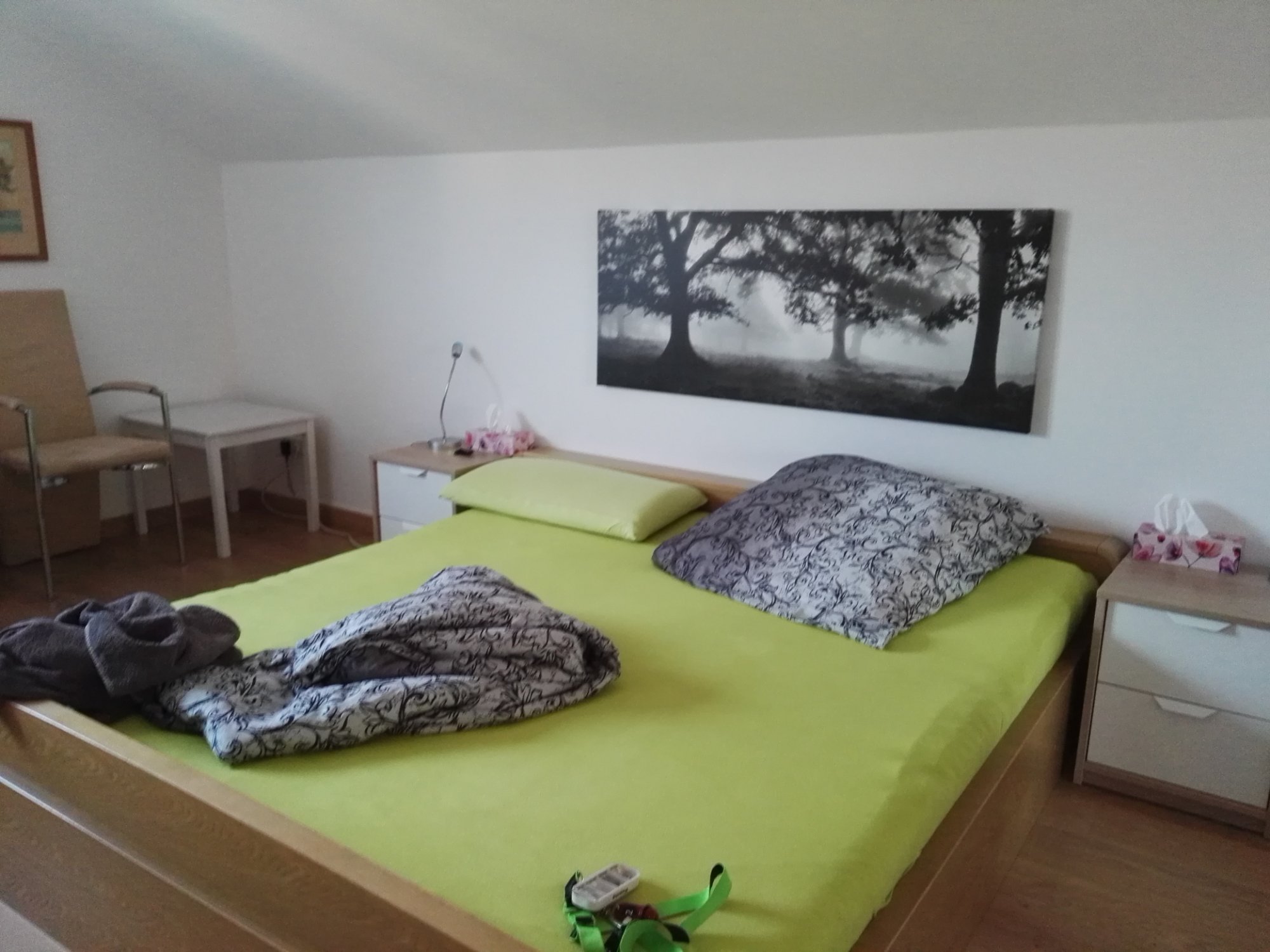 Bed & Breakfast Engen-官方
