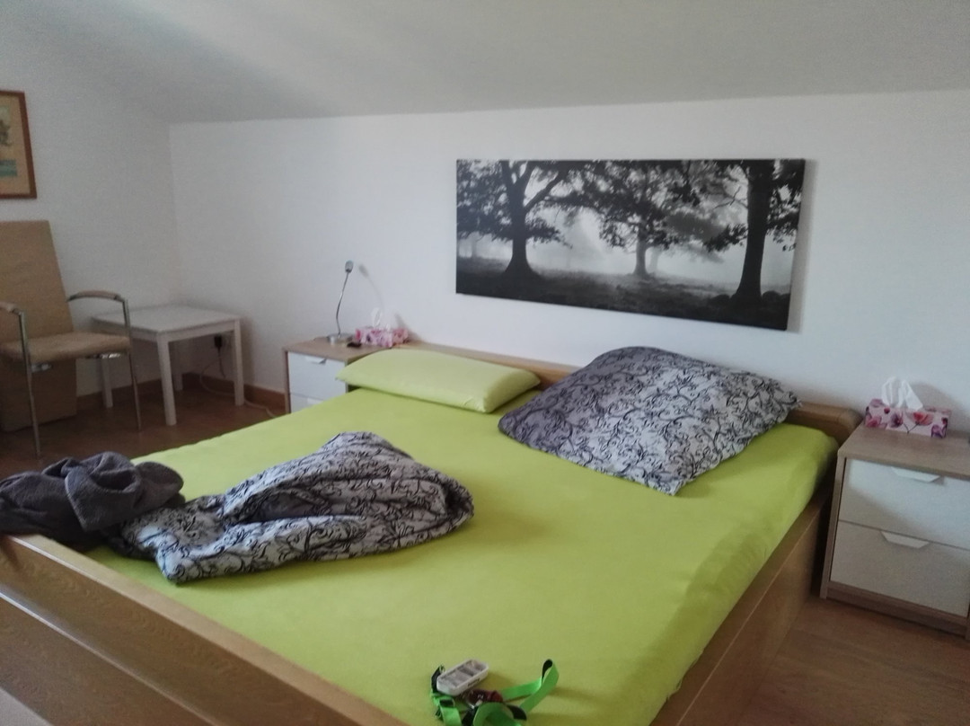 Tengen酒店住宿-Bed & Breakfast Engen