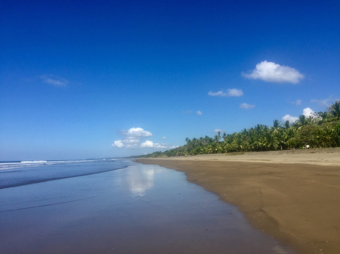 Playa Matapalo景点图片