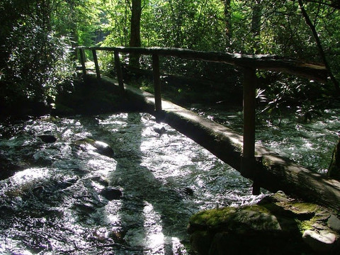 Phoenix Adventures-West Columbia必去景点