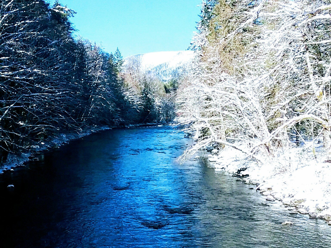 Welches旅游攻略图片