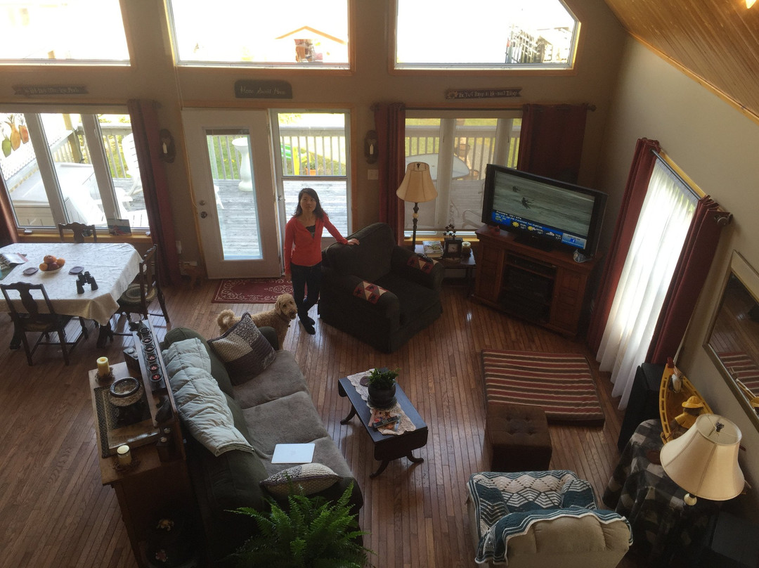 Sal's Bed & Breakfast By the Sea主图