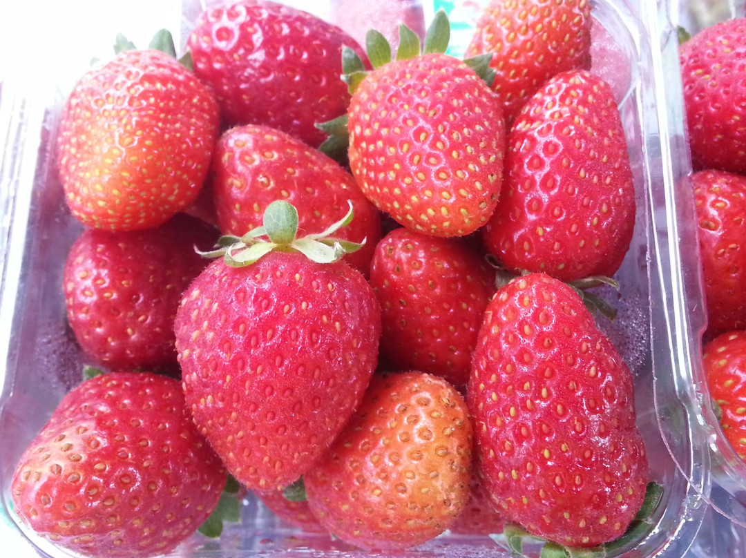 Mansfield Farmers' Market-曼斯菲尔德必去景点