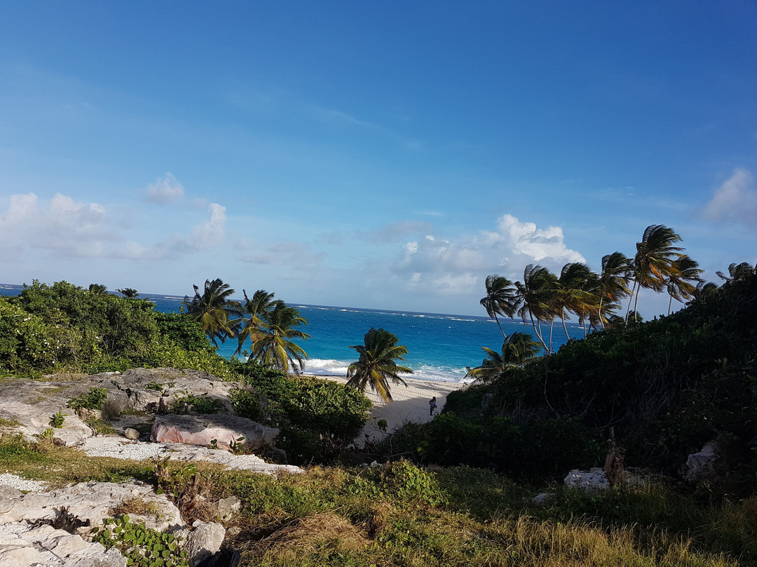 Cave Bay-Bottom Bay必去景点