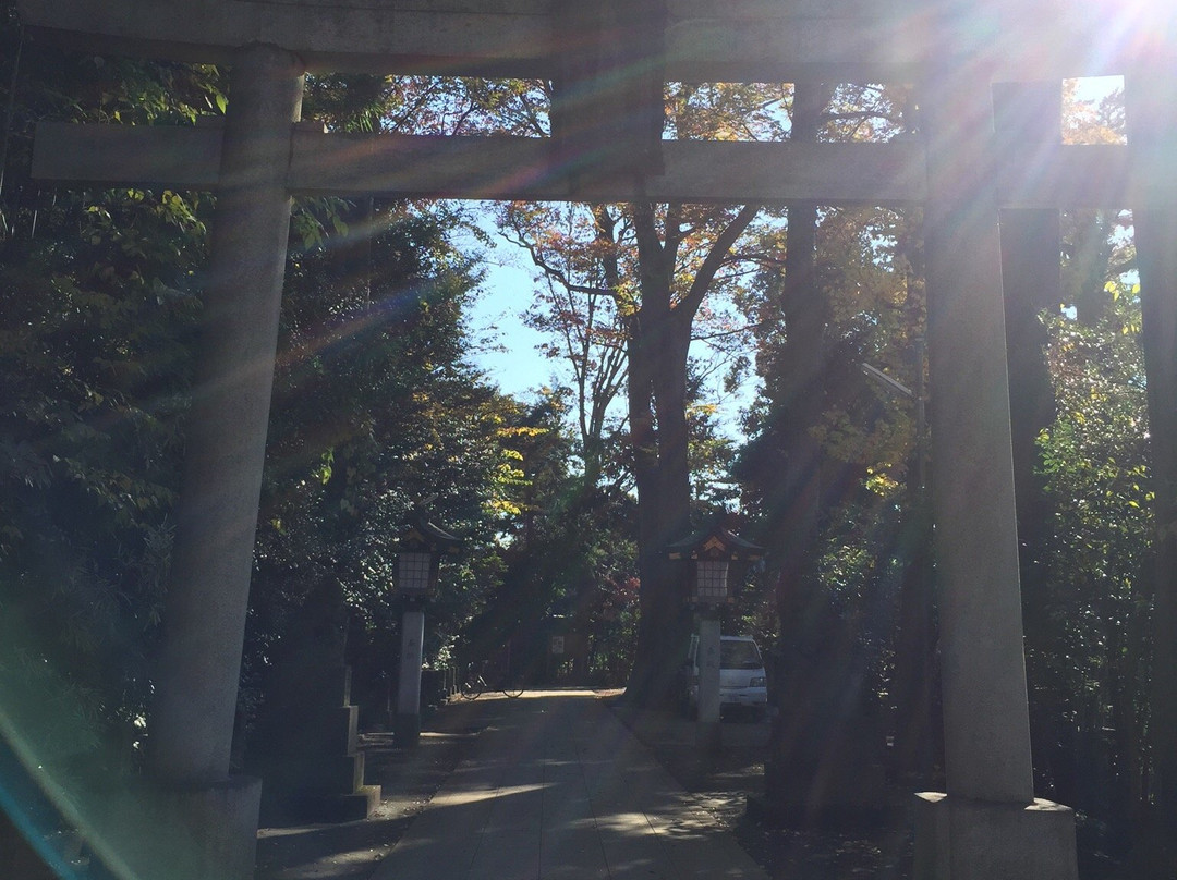 Ogikubo Hachiman Shrine-杉并区必去景点