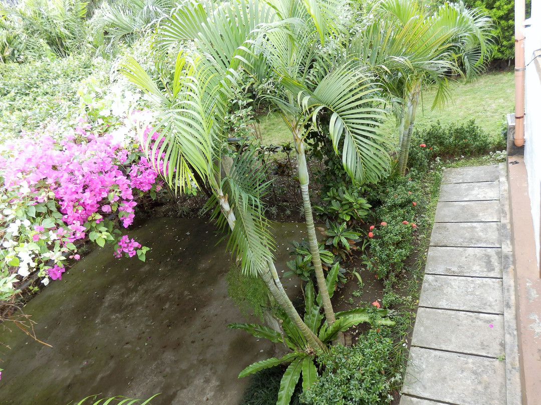 Rapitan di Vasay主图