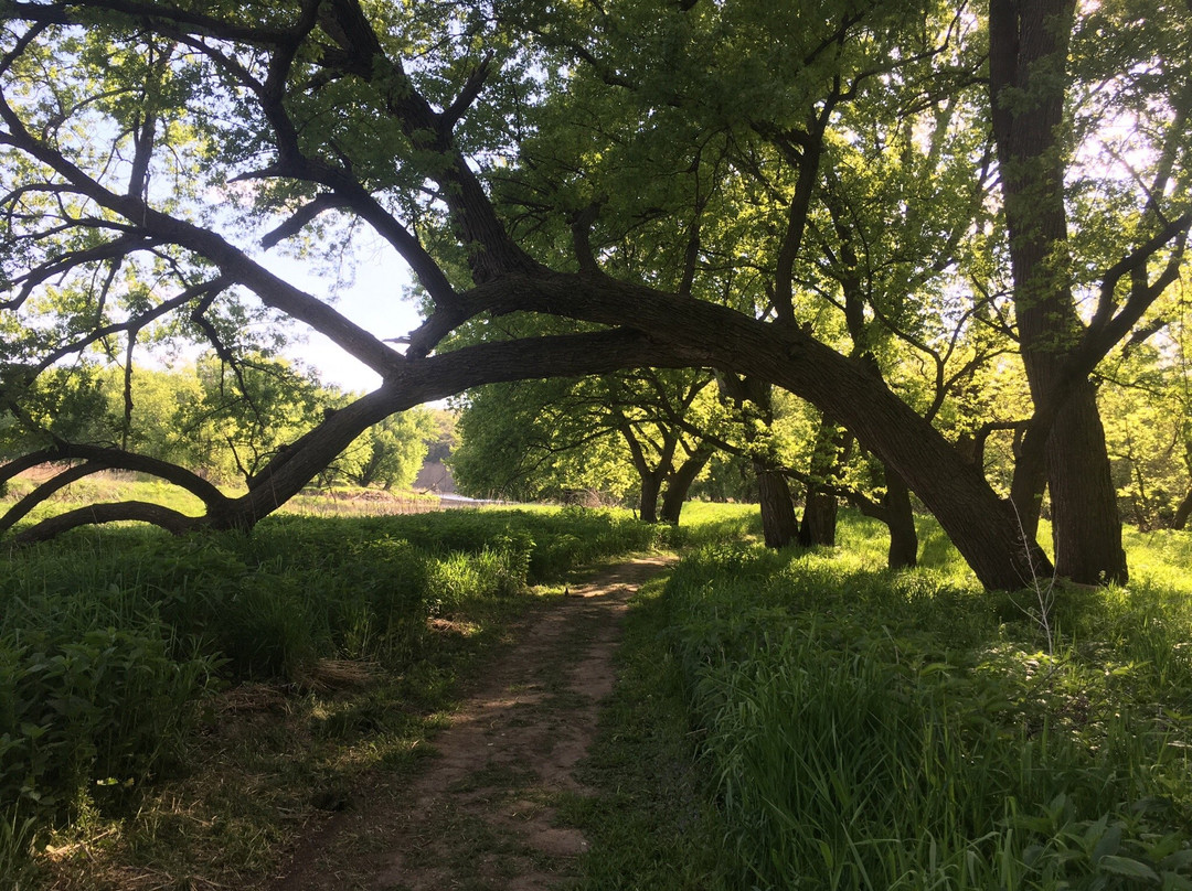 The Blood Run Nature Area-苏福尔斯必去景点